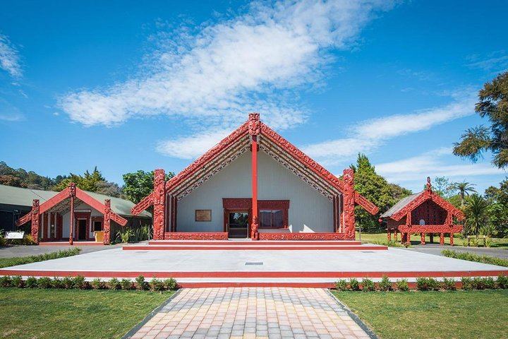 Waitomo Caves & Rotorua + Te Puia Small-Group Tour from Auckland