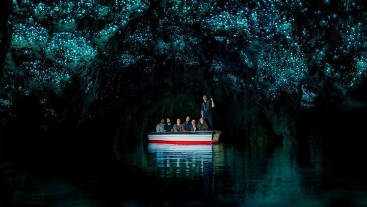 Waitomo Caves & Rotorua + Te Puia Small-Group Tour from Auckland