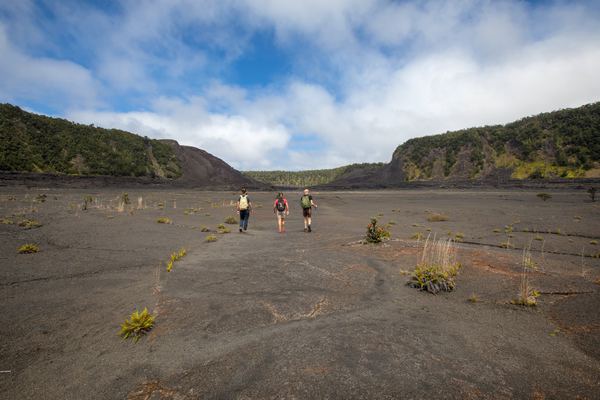 National Park Tours
