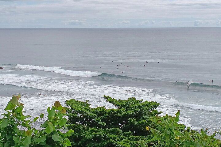 Watch surfer catching waves!