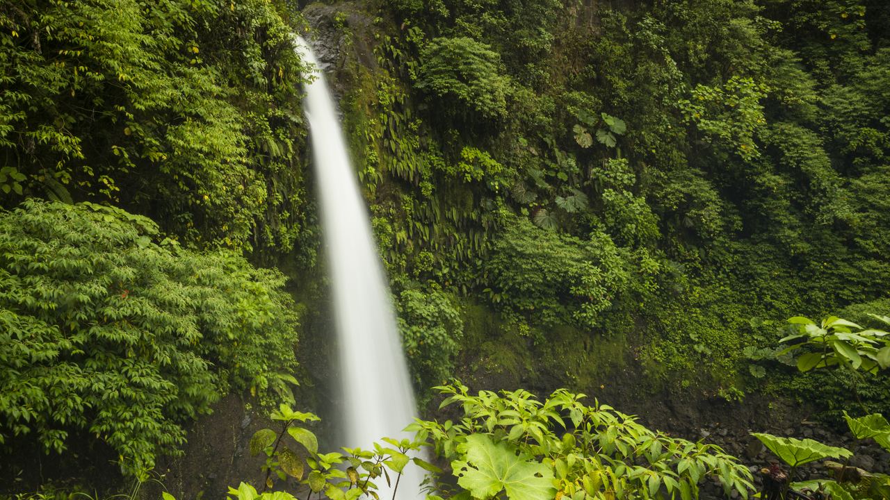 A waterfall in the rainforest of Costa Rica, the setting of the country's volcanic north-west