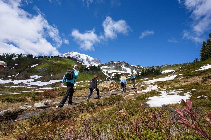 We like to walk (all abilities welcome). This isn't just another driving tour.