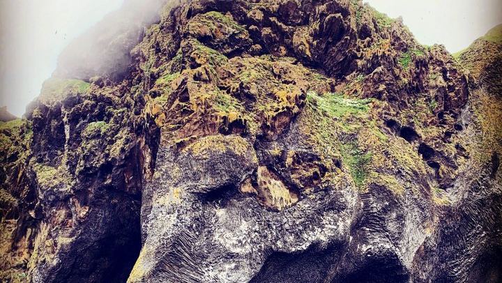 Westman Islands Volcano and World Largest Puffin Colony Tour