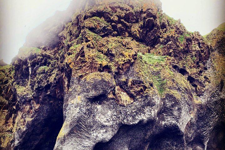 Westman Islands Volcano and World Largest Puffin Colony Tour