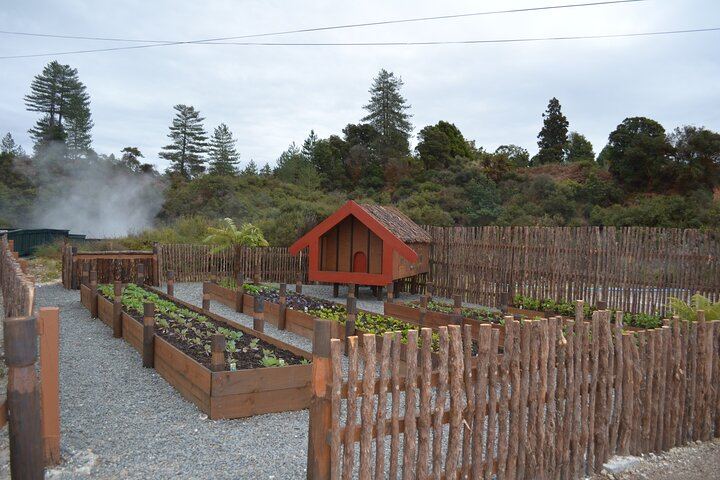 Whakarewarewa Village Guided Tour
