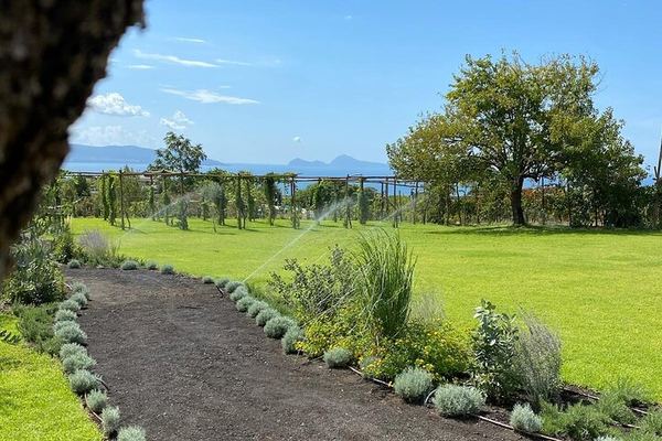 Lunch at an Organic Farm on Vesuvius, Shuttle from Pompeii