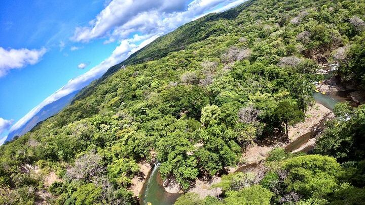 White Water Rafting: Class III and IV on The Tenorio River