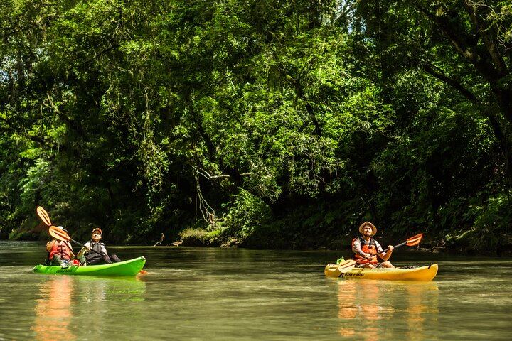 Wildlife Safari Float by Kayak in Peñas Blancas River from Arenal