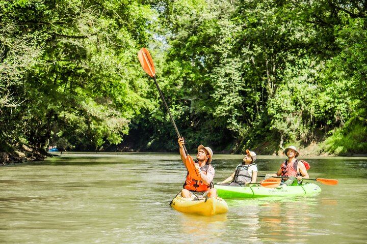 Wildlife Safari Float by Kayak in Peñas Blancas River from Arenal