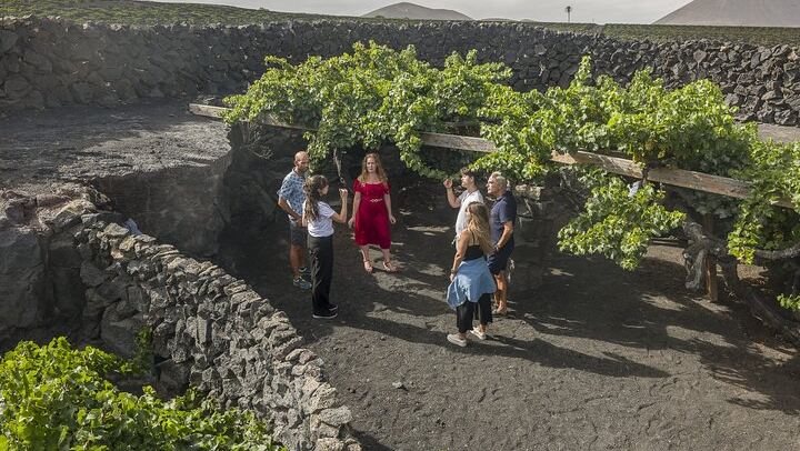 Wine Lovers Winery Tour in Lanzarote