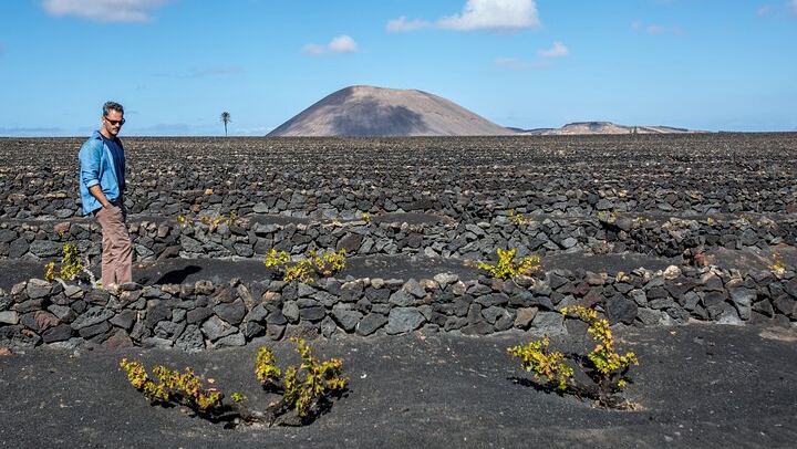 Wine Lovers Winery Tour in Lanzarote