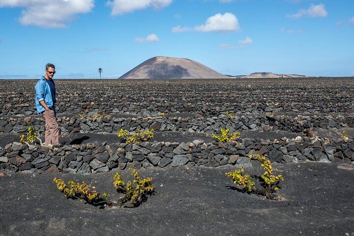Wine Lovers Winery Tour in Lanzarote
