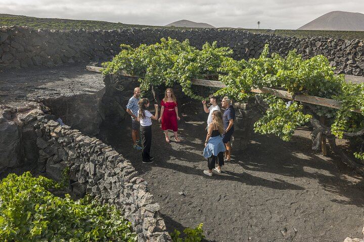 Wine Lovers Winery Tour in Lanzarote