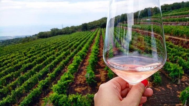 wine tasting