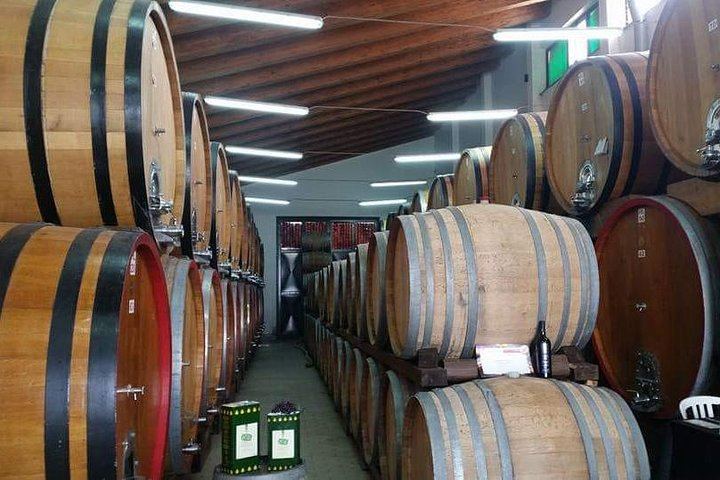 Winery