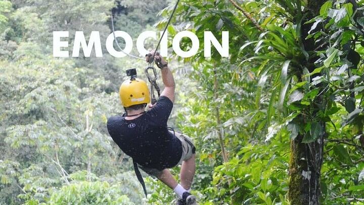 Zip Line, 10 differents cables!