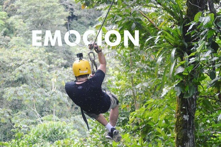 Zip Line, 10 differents cables!